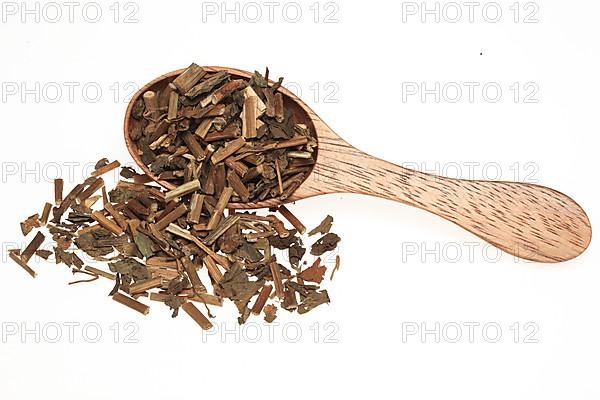 Dried herb of the medicinal plant Fortune boneset,