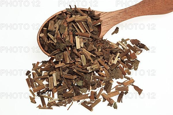 Dried herb of the medicinal plant Fortune boneset,