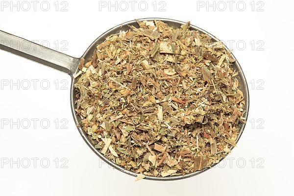 Dried herb of the medicinal plant european goldenrod,