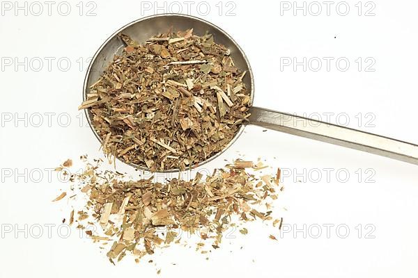 Dried herb of the medicinal plant european goldenrod,