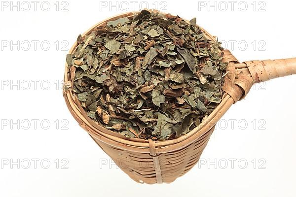 Dried herb of the medicinal plant asarabacca,