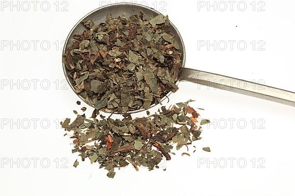 Dried herb of the medicinal plant asarabacca,