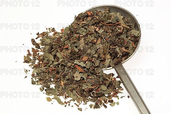 Dried herb of the medicinal plant asarabacca,