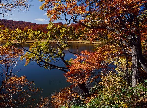 Autumn atmosphere at the lake, Towada Lake Towadako Aomori Prefecture Japan