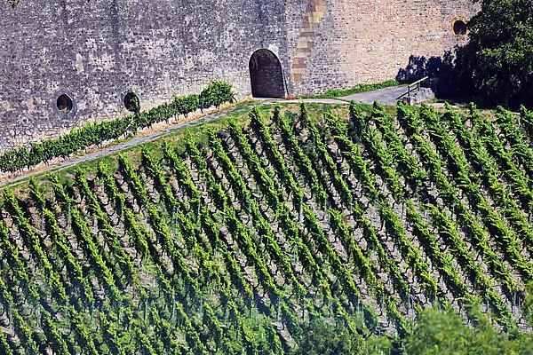 The Marienberg Fortress in Wuerzburg in fine weather the zeppelin flies. Lower Franconia, Franconia