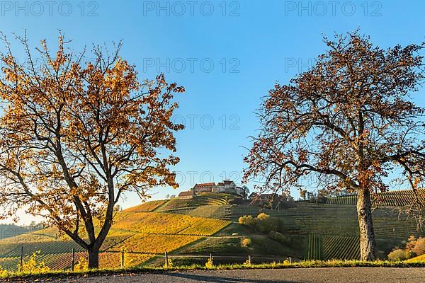 Staufenberg Castle, Durbach