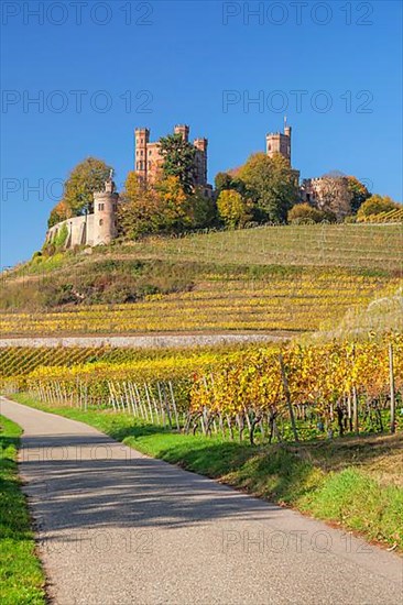 Ortenberg Castle in autumn, Offenburg