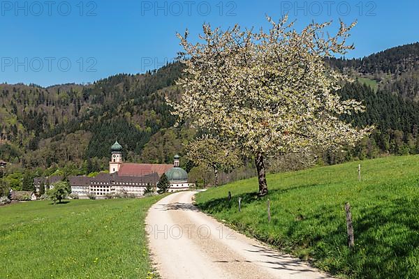 Sankt Trudpert Monastery, Muenstertal