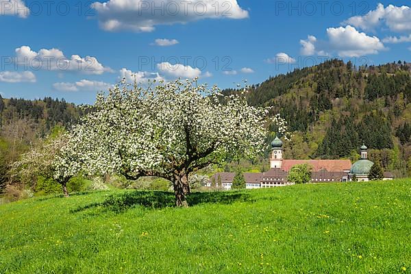 Sankt Trudpert Monastery, Muenstertal