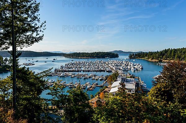 Yachting boats, Roche harbor