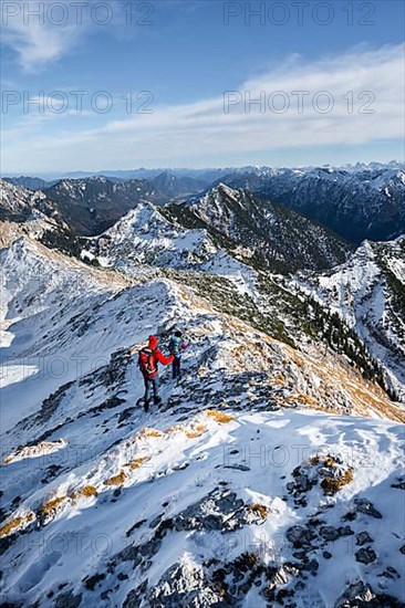 Two mountaineers on the narrow rocky snowy ridge of the Ammergauer Hochplatte, view of mountain panorama