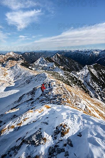 Two mountaineers on the narrow rocky snowy ridge of the Ammergauer Hochplatte, view towards Loesertaljoch