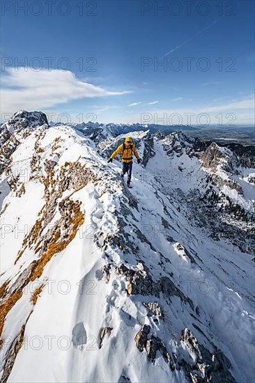 Climbers on a narrow rocky snowy ridge, behind peak crow