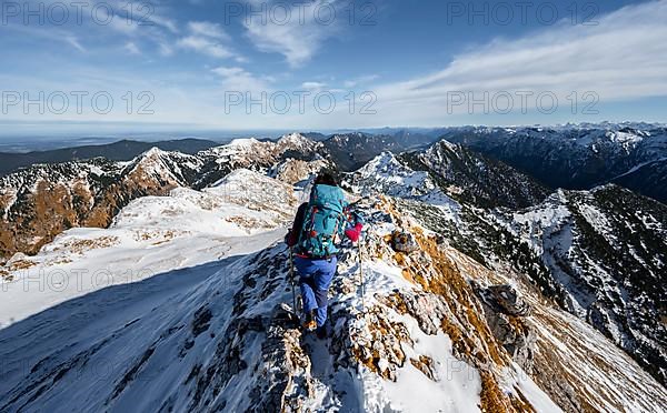 Mountaineer on the narrow rocky snowy ridge of the Ammergauer Hochplatte, view towards Loesertaljoch