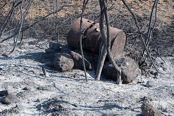 Burn marks, forest fire