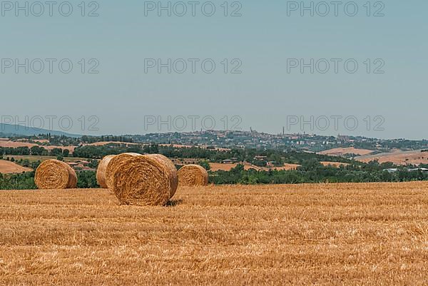 Straw bales, behind the city of Siena