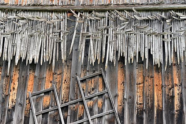 Shed wall with suspended hay riders,