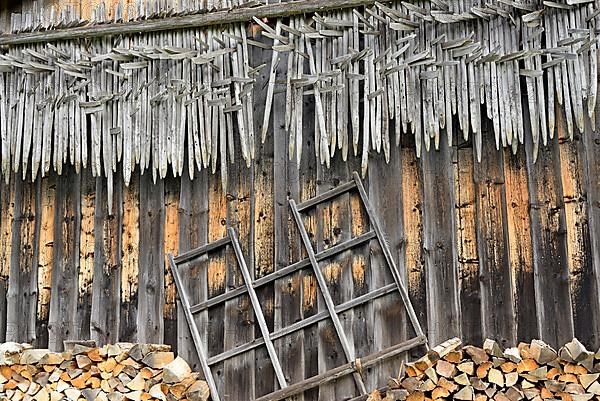 Shed wall with suspended hay riders,