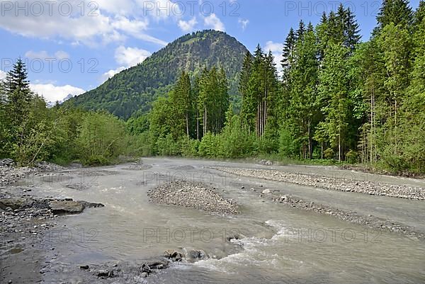 View over the river landscape of the Trettach to the mountain Himmelschrofen 1759 m, mountain river