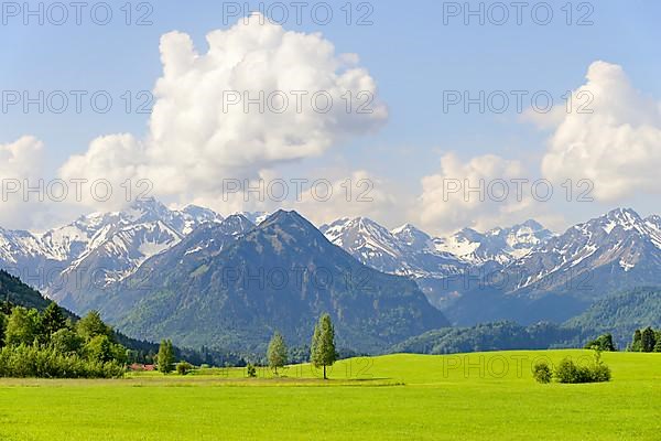 View of the mountain panorama of the Allgaeu Alps from a hiking trail near Reichenbach, in front the Himmelschrofen 1776 m