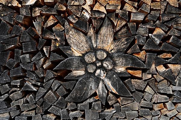 Firewood pile, Edelweiss