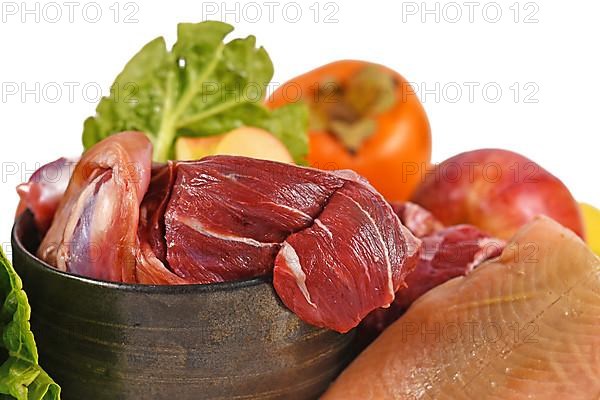 Close up of dog bowl with mixture of biologically appropriate raw food containing meat chunks, fish