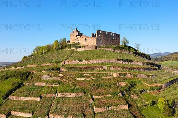 Staufen Castle, Staufen im Breisgau