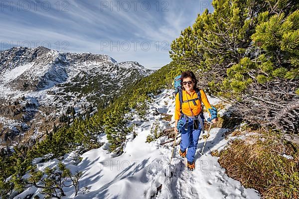 Hiker between mountain pines, hiking trail to Weitalpspitz