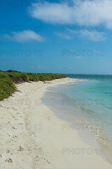 White sand beach in turquoise waters, Fort Jefferson