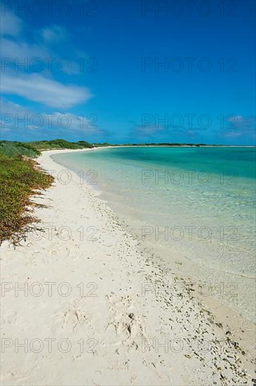 White sand beach in turquoise waters, Fort Jefferson