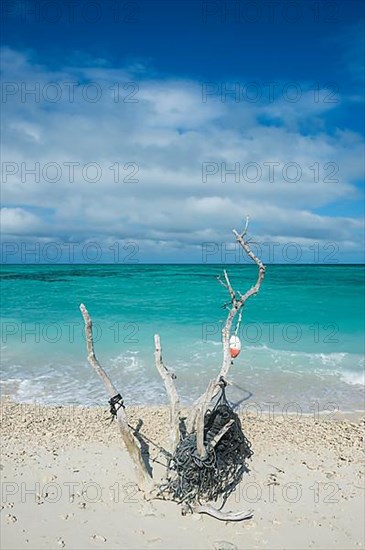 Beach sculpture on a white sand beach in turquoise waters, Fort Jefferson