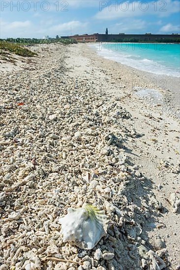 White sand beach with Fort Jefferson in the background, Dry Tortugas National Park