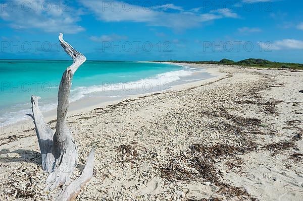 White sand beach in turquoise waters, Dry Tortugas National Park