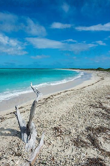 White sand beach in turquoise waters, Dry Tortugas National Park