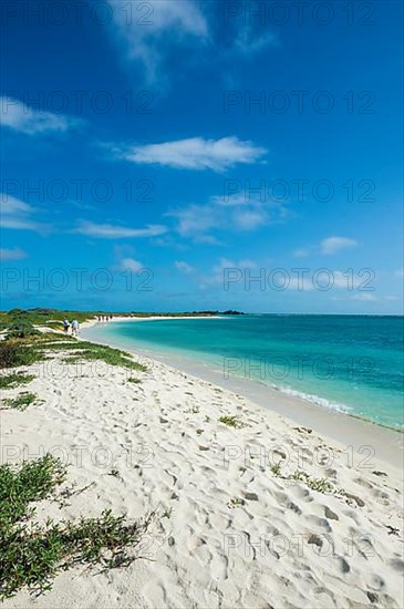 White sand beach in turquoise waters, Dry Tortugas National Park