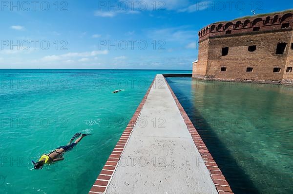 Man snorkeling near a Pier surrounding Fort Jefferson, Dry Tortugas National Park