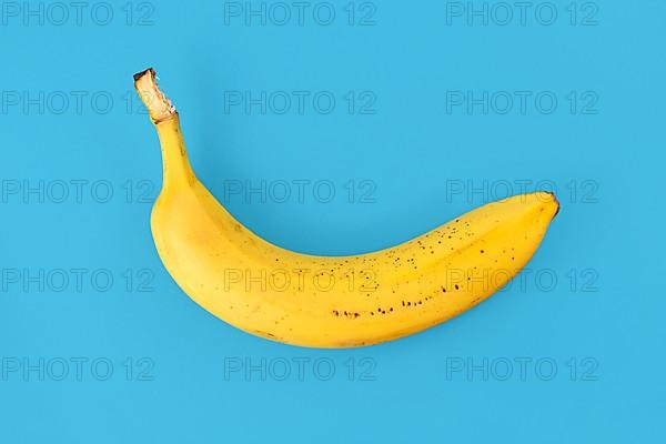 Single ripe banana with peel on blue background,