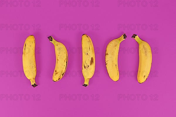 Five small snack bananas in a row on bright purple background,