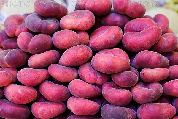 Stacked flat peaches, Rialto Market