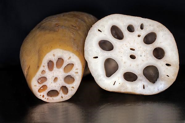 Sliced lotus root, food photography with black background