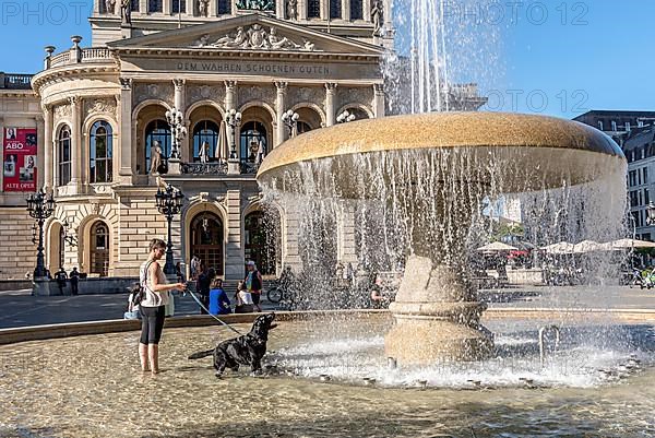 Lucae Fountain by Edwin Hueller, fountain with fountain in front of the Alte Oper opera house by Richard Lucae from the Wilhelminian period