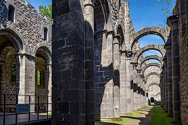 Ruin of Arnsburg Abbey Church, side aisle of the basilica