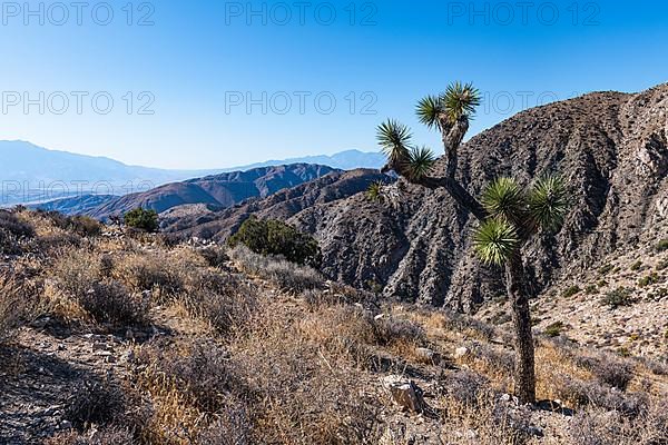 Overlook over the valley, Joshua Tree National Park