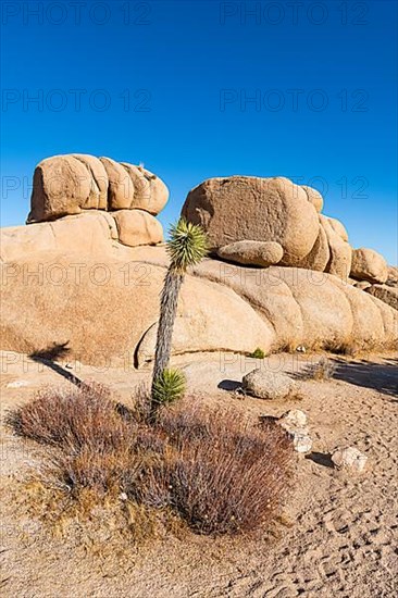 Beautiful rock formations, Joshua Tree National Park