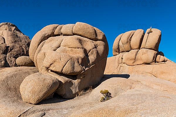 Beautiful rock formations, Joshua Tree National Park