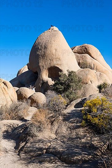 Skull rock formation, Joshua Tree National Park