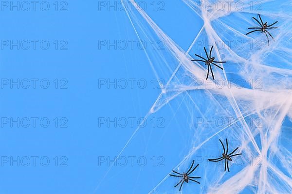 Cobwebs and plastic spiders on side of blue Halloween background with empty copy space,