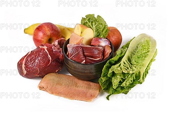 Dog bowl filled with biologically appropriate raw food containing meat chunks, fish