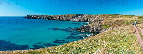 Kynance Cove and Asparagus Island, Cornwall