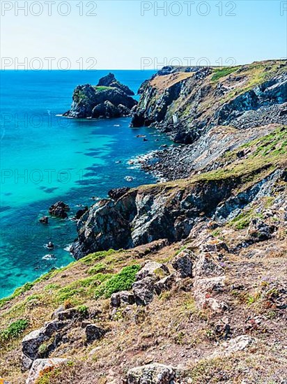 Kynance Cove and Asparagus Island, Cornwall